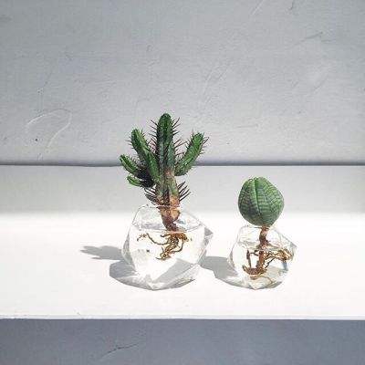 时髦生意藏着致富密码（高质量发展在一线·小城宝藏）